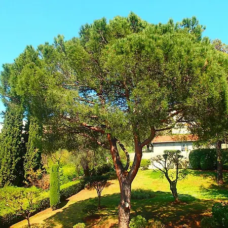 Le Mirandole Apartamento Nice